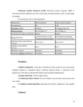 Verslo įmonių tipai 10 puslapis