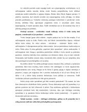 Verslo ir etikos ryšys 13 puslapis