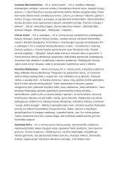 Lietuvių kalbos literatūros autorių kontekstai 2 puslapis