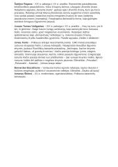 Lietuvių kalbos literatūros autorių kontekstai 5 puslapis