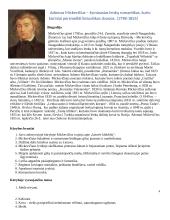 Labai geras 12 kl. lietuvių kalbos konspektas 2 puslapis