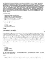 Labai geras 12 kl. lietuvių kalbos konspektas 11 puslapis