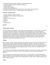 Labai geras 12 kl. lietuvių kalbos konspektas 13 puslapis