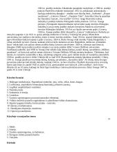 Labai geras 12 kl. lietuvių kalbos konspektas 15 puslapis