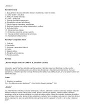 Labai geras 12 kl. lietuvių kalbos konspektas 5 puslapis