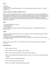 Labai geras 12 kl. lietuvių kalbos konspektas 6 puslapis