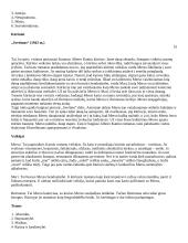 Labai geras 12 kl. lietuvių kalbos konspektas 8 puslapis