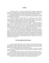 Verslo organizavimo formos pasirinkimo problema 3 puslapis