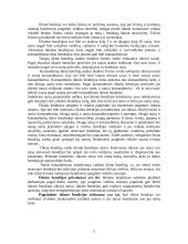 Verslo organizavimo formos pasirinkimo problema 5 puslapis