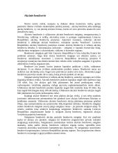 Verslo organizavimo formos pasirinkimo problema 6 puslapis