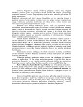 Verslo organizavimo formos pasirinkimo problema 7 puslapis