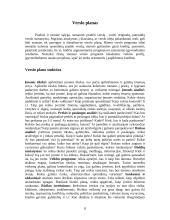 Verslo organizavimo formos pasirinkimo problema 8 puslapis