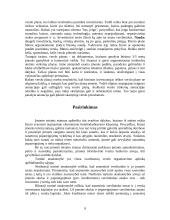 Verslo organizavimo formos pasirinkimo problema 9 puslapis