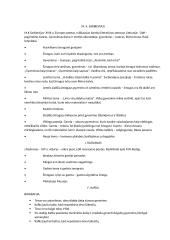 Lietuvių autoriai - konspektas