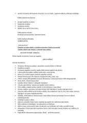 Lietuvių autoriai - konspektas 2 puslapis