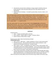 Lietuvių autoriai - konspektas 12 puslapis