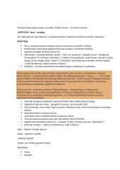 Lietuvių autoriai - konspektas 13 puslapis