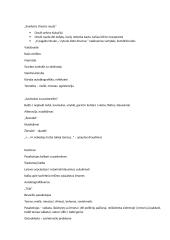 Lietuvių autoriai - konspektas 20 puslapis