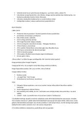 Lietuvių autoriai - konspektas 3 puslapis