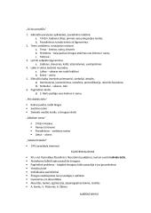 Lietuvių autoriai - konspektas 6 puslapis