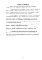 Verslo planas: baldų gamyba UAB "Medinukas" 13 puslapis