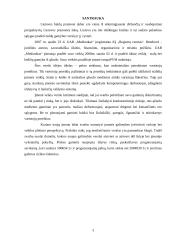 Verslo planas: baldų gamyba UAB "Medinukas" 3 puslapis