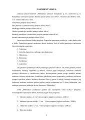 Verslo planas: baldų gamyba UAB "Medinukas" 5 puslapis