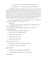 Verslo planas: baldų gamyba UAB "Medinukas" 6 puslapis