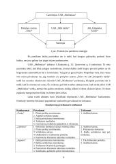 Verslo planas: baldų gamyba UAB "Medinukas" 9 puslapis