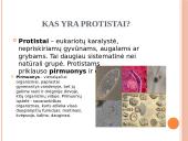Protistų karalystė. Kas yra protistai? 2 puslapis