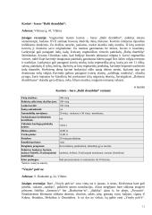 Verslo planas: IĮ "Muzikinis baras " 11 puslapis