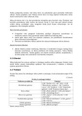 Verslo planas: IĮ "Muzikinis baras " 16 puslapis