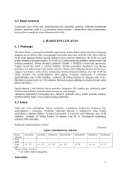 Verslo planas: IĮ "Muzikinis baras " 17 puslapis