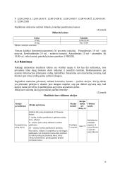 Verslo planas: IĮ "Muzikinis baras " 18 puslapis