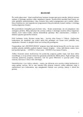 Verslo planas: IĮ "Muzikinis baras " 3 puslapis