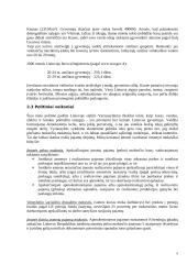 Verslo planas: IĮ "Muzikinis baras " 6 puslapis