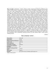 Verslo planas: IĮ "Muzikinis baras " 10 puslapis