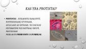 Protistai ir jų karalystė 2 puslapis
