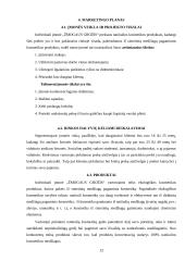 Verslo planas: IĮ "Žmogaus grožis" 12 puslapis