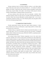 Verslo planas: IĮ "Žmogaus grožis" 13 puslapis