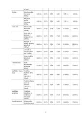 Verslo planas: IĮ "Žmogaus grožis" 17 puslapis