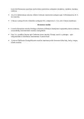 Renesanso menas ir plitimas LDK 2 puslapis