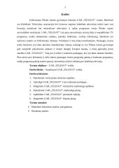 Verslo planas: kabelinė televizija UAB "Telesat" 2 puslapis