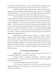 Verslo planas: kabelinė televizija UAB "Telesat" 11 puslapis