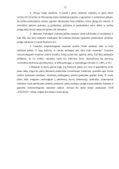 Verslo planas: kabelinė televizija UAB "Telesat" 12 puslapis