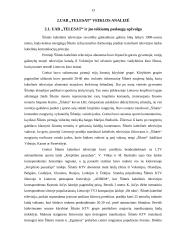 Verslo planas: kabelinė televizija UAB "Telesat" 13 puslapis