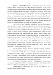 Verslo planas: kabelinė televizija UAB "Telesat" 15 puslapis