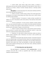 Verslo planas: kabelinė televizija UAB "Telesat" 7 puslapis