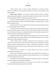 Verslo planas: kaimo turizmas UAB "Erčia" 13 puslapis