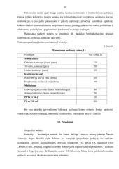 Verslo planas: kaimo turizmas UAB "Erčia" 9 puslapis